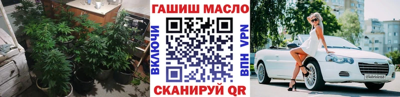 ТГК THC oil  Купить где  Ардон 