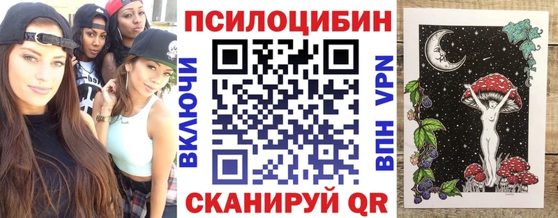 Псилоцибиновые грибы GOLDEN TEACHER  Купить где  Ардон 